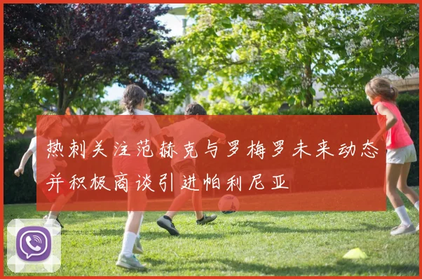 热刺关注范赫克与罗梅罗未来动态并积极商谈引进帕利尼亚