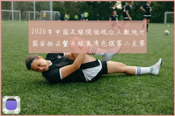 2026年中国足球现场观众人数统计国安独占鳌头梭鱼湾包揽第二至第七位